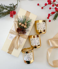 Load image into Gallery viewer, Holiday Collection