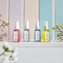 Load image into Gallery viewer, Purifying Hand Mist
